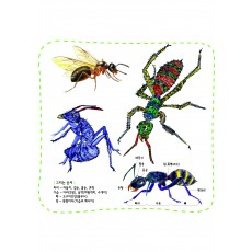 자연과학5 다른 곤충을 기르며 사는 착한 개미도 적을 만나면 왜 싸울까