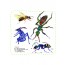자연과학5 다른 곤충을 기르며 사는 착한 개미도 적을 만나면 왜 싸울까
