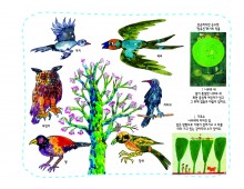 생태과학12 숲에 살고 있는 나무와 새